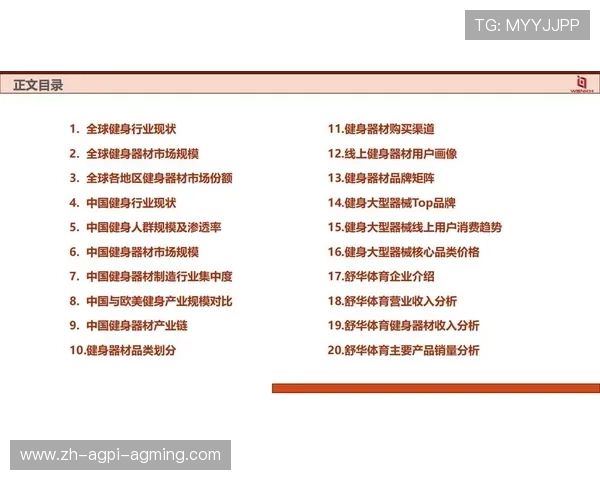 体健身器材品牌介绍及市场表现分析